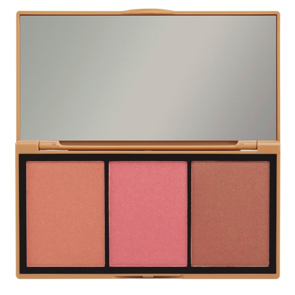 Jason Wu  Blush - Picture 2 of 6